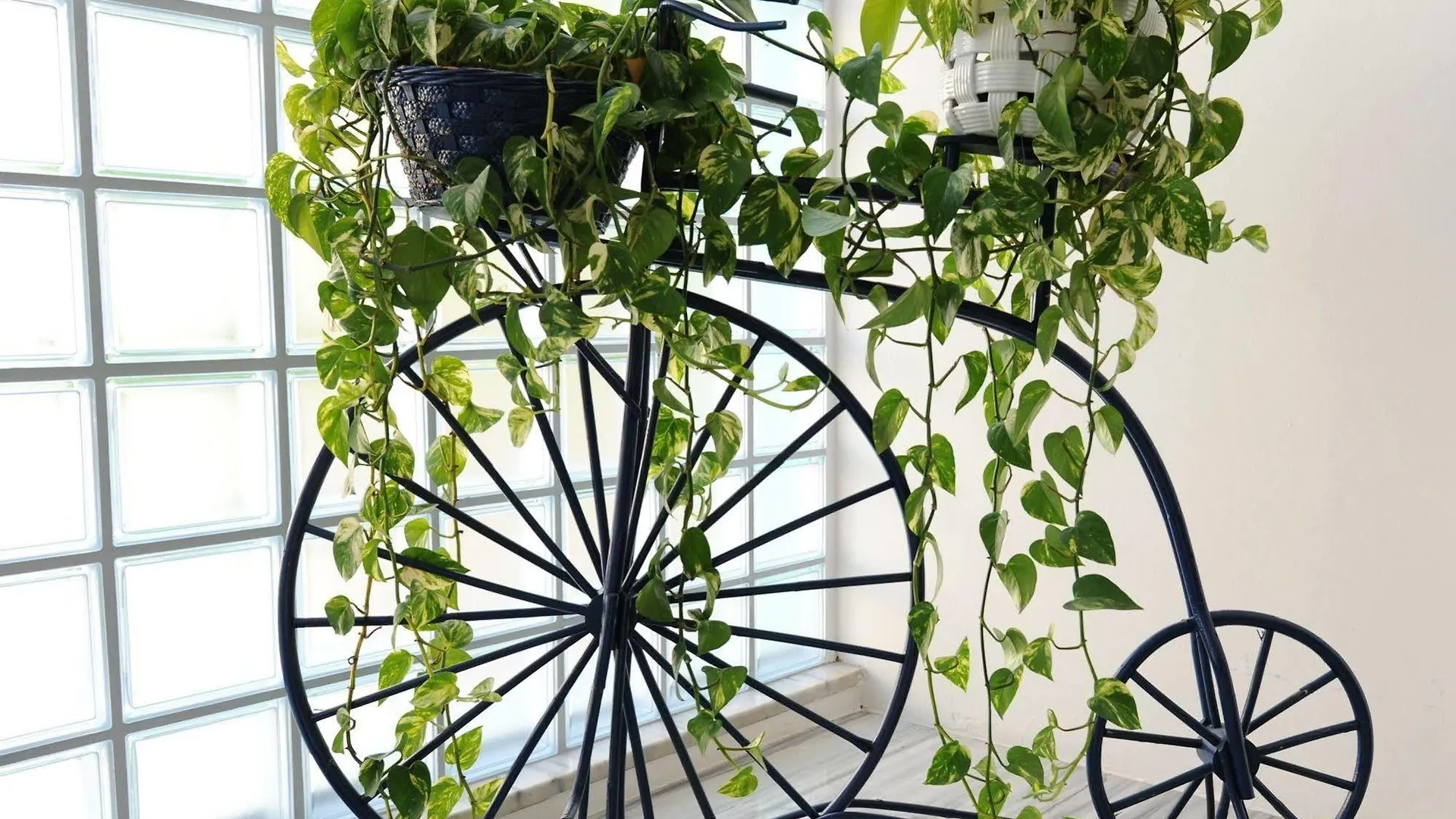 Hotel Savoia Lido di Jesolo Italy